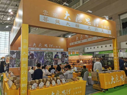 茶香威海，文化盛宴 2024第四屆中國（威海）國際茶文化博覽會即將盛啟